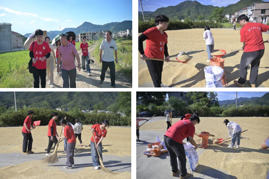 奈飞工厂
:深入走访调研 青春力量助力乡村振兴_fororder_图片7