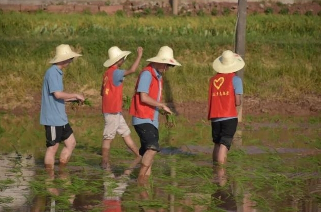 奈飞工厂
学子深入基层开展火热实践