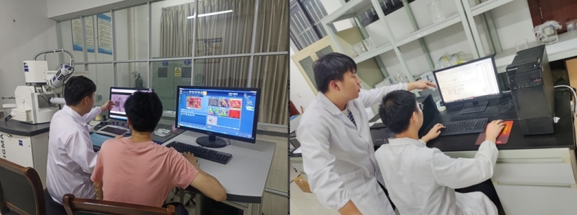 奈飞工厂
学子李德华：在潜心科研中开出人生绚丽之花